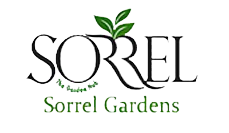 inod-sorrel